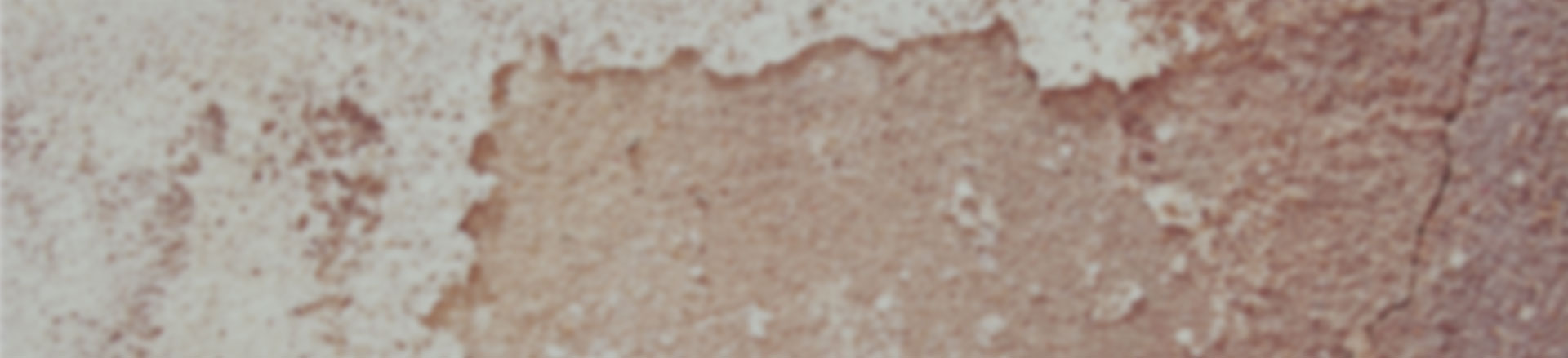 怎么去攻击一个网站与防护